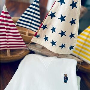 NWT Ralph Lauren Embroidered, Rare, Iconic American Flag Bear White Hoodie